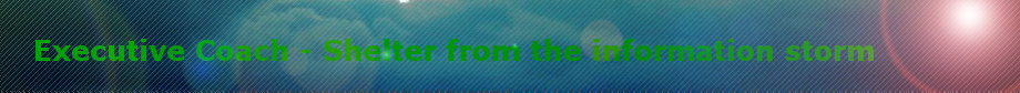 Executive Coach header image